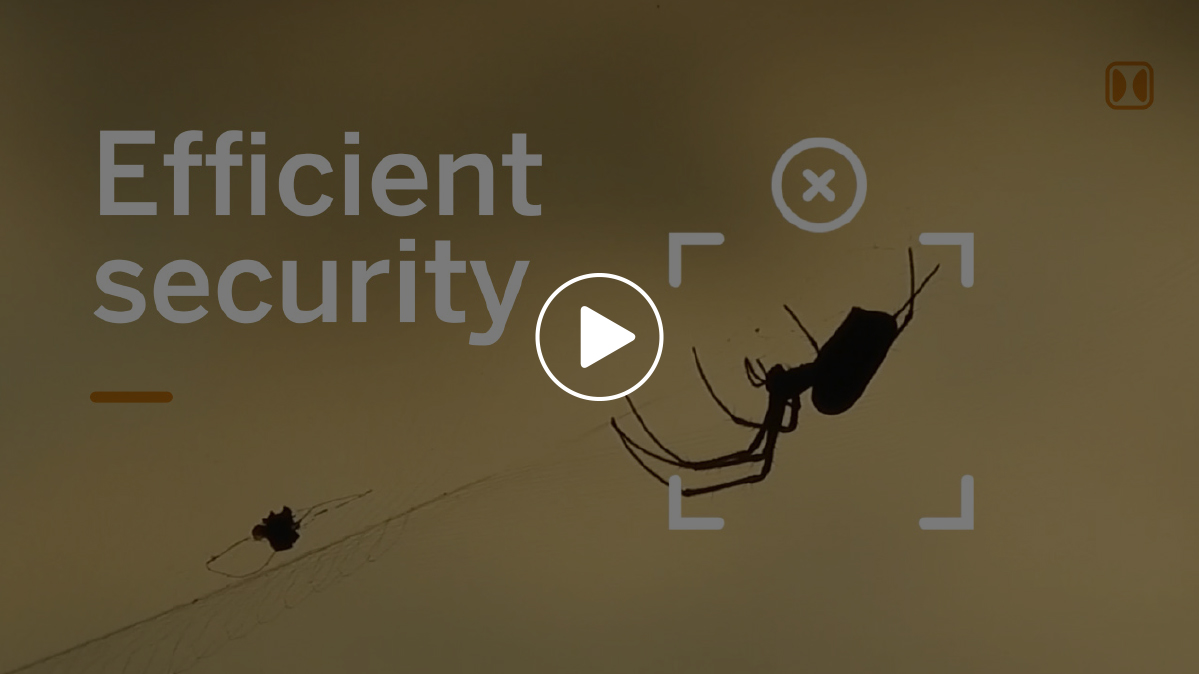 Efficient security Video Analytics