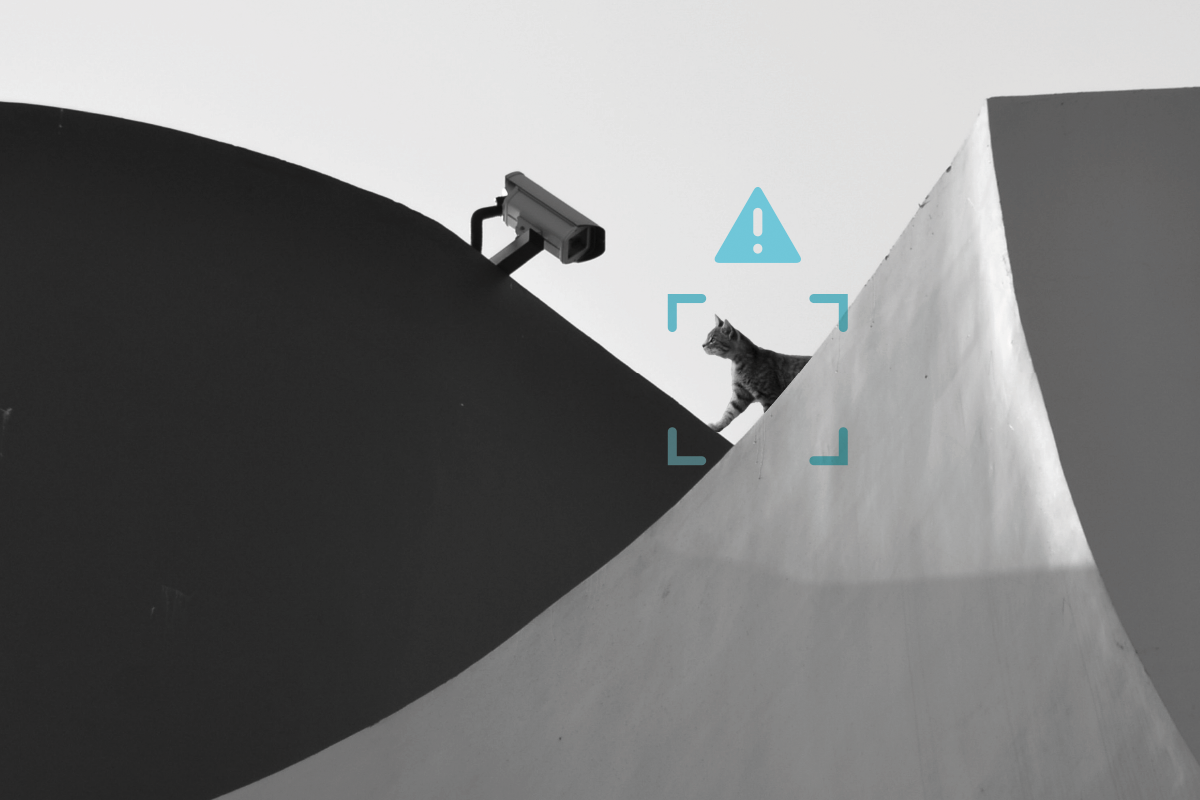 Seguridad perimetral avanzada: cámaras IA vs DFUSION